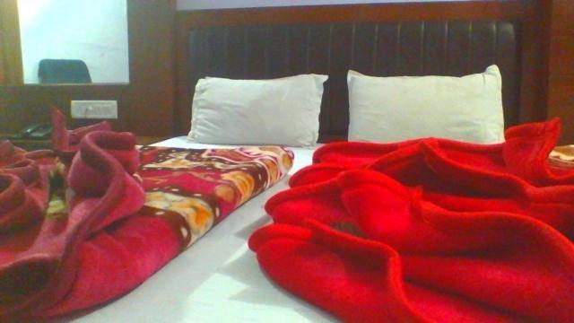 فندق Sahara International Deluxe نيودلهي الغرفة الصورة